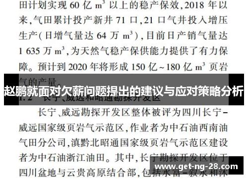 赵鹏就面对欠薪问题提出的建议与应对策略分析